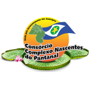 Nascentes do Pantanal