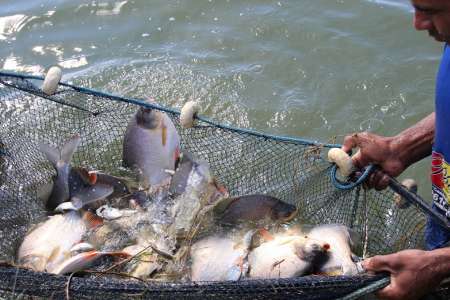 Liberado Os Primeiros Recursos Para A Rota do Peixe 