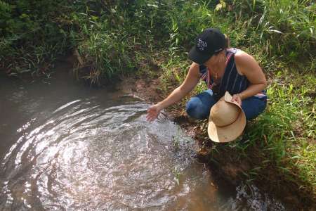 Produtores Adotam Medidas Sustentáveis Para Conservar Água do Pantanal 
