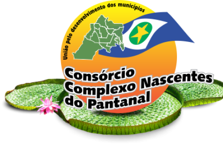 Consórcio do Complexo Nascentes do Pantanal Abre Processo Seletivo Simplificado 