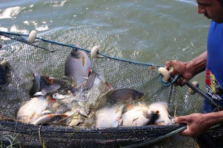Projeto Rota do Peixe Receberá R$ 8,5 Milhões de Investimentos Em 2017 
