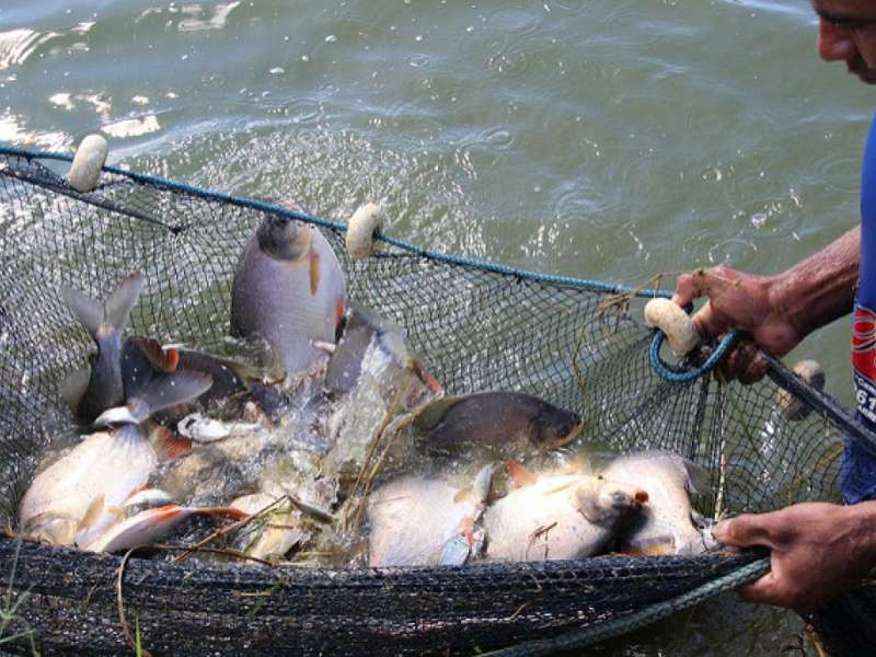 Projeto Rota do Peixe Receberá R$ 8,5 Milhões de Investimentos Em 2017 