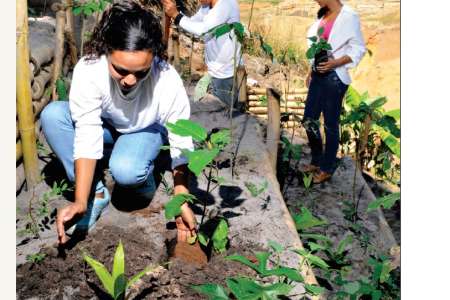 Pacto Em Defesa Das Cabeceiras do Pantanal Promove Caravana da Recuperação Em Reserva do Cabaçal 