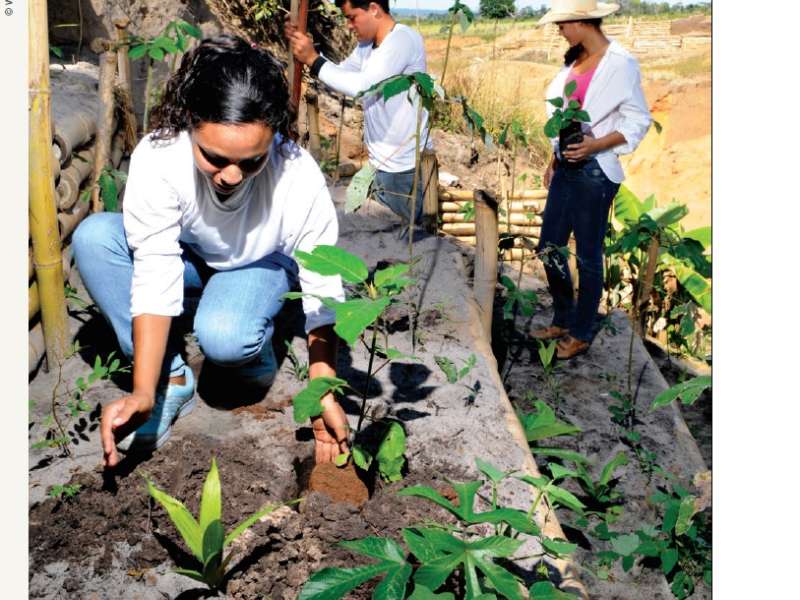 Pacto Em Defesa Das Cabeceiras do Pantanal Promove Caravana da Recuperação Em Reserva do Cabaçal 