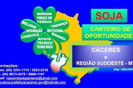 Cáceres A Nova Fronteira da Soja Em Mato Grosso 