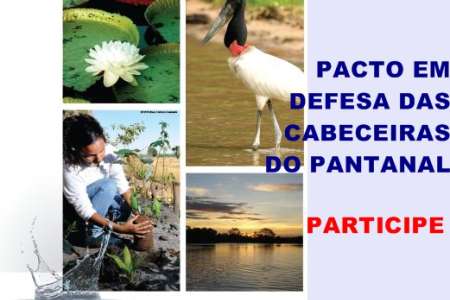 Pacto Em Defesa Das Cabeceiras do Pantanal Apresentará Propostas Aos Candidatos A Governador de Mato Grosso 