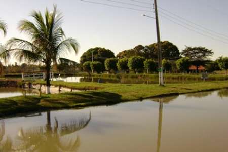 Governo Federal Anuncia Investimentos de R$ 8,9 Milhões Para Potencializar A Piscicultura Na Região do Complexo Nascentes do Pantanal 