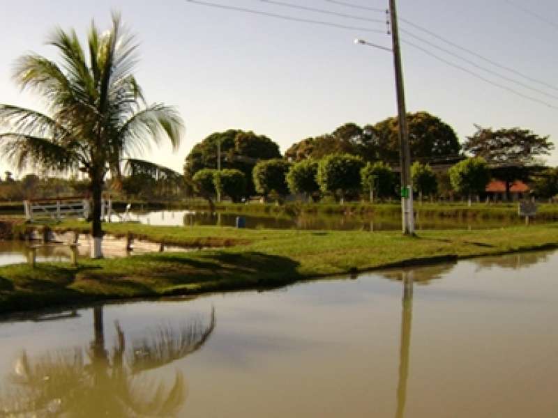 Governo Federal Anuncia Investimentos de R$ 8,9 Milhões Para Potencializar A Piscicultura Na Região do Complexo Nascentes do Pantanal 