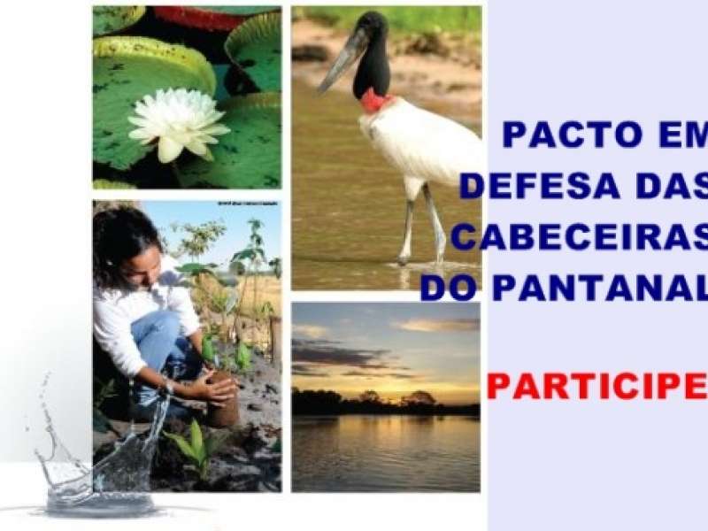 Pacto Vai Proteger As Cabeceiras do Pantanal 