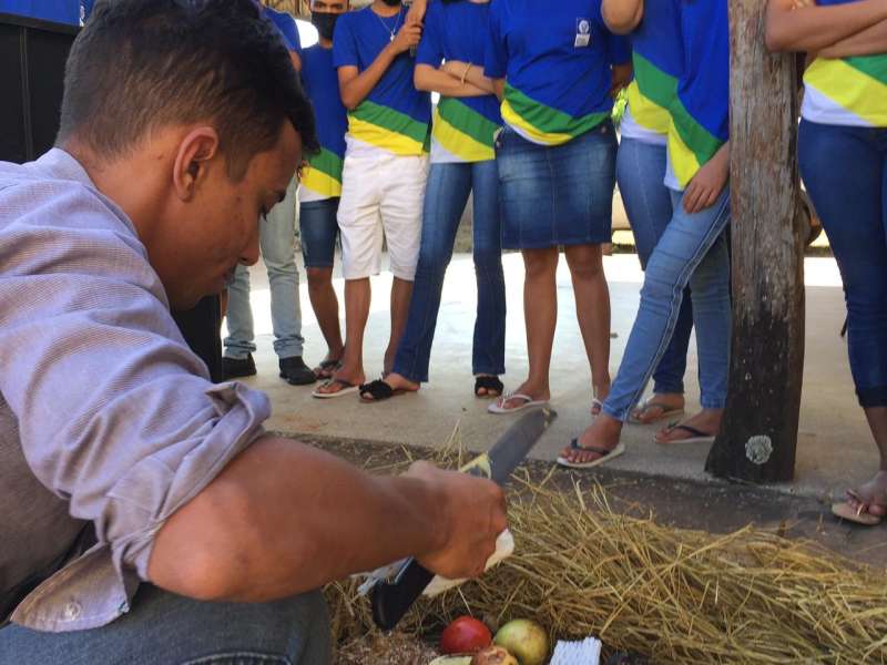 Oficina de Compostagem Com Os Alunos da Escola Estadual Paulino Modesto do Município de Indiavaí -mt 