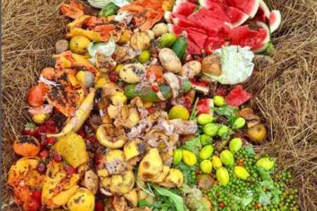 Alimentando A Leira 