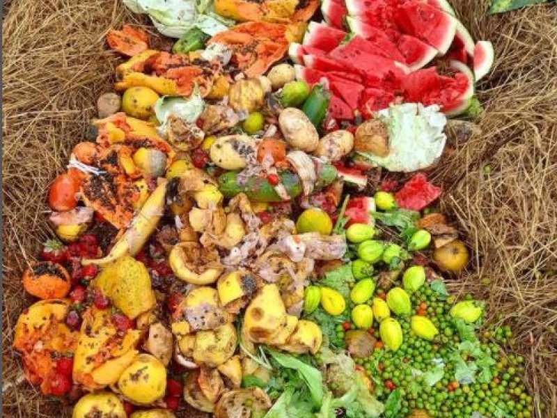Alimentando A Leira 
