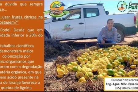 Frutas Cítricas 