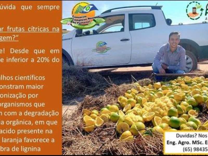 Frutas Cítricas 