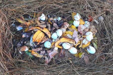 Compostagem Doméstica 