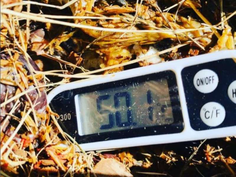 Temperatura 