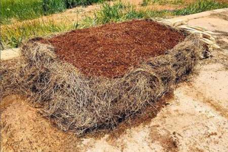 Utilização do Pó de Serra 