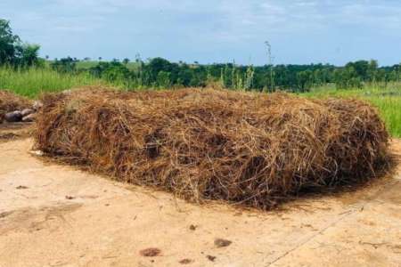 Compostagem Em Leiras 