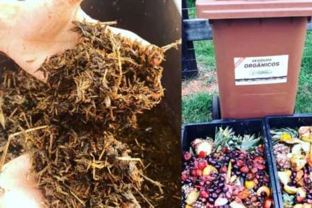 Processo de Compostagem Em Caixas 
