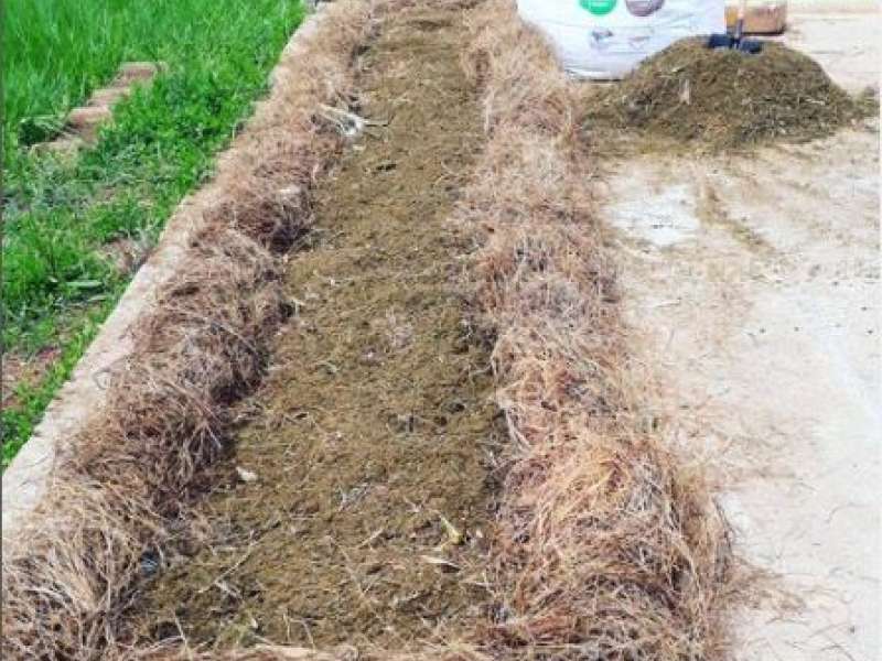 Utilização de Esterco Na Compostagem 